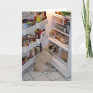 Carte Howie Pee Pugpants