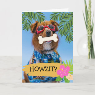 Carte Howzit ? Bonjour Comment Es-Tu Un Chien Hawaïen ?
