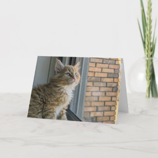 Carte Huey regarde le monde