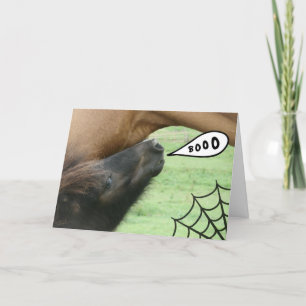 Carte Huez !  Cheval de Halloween