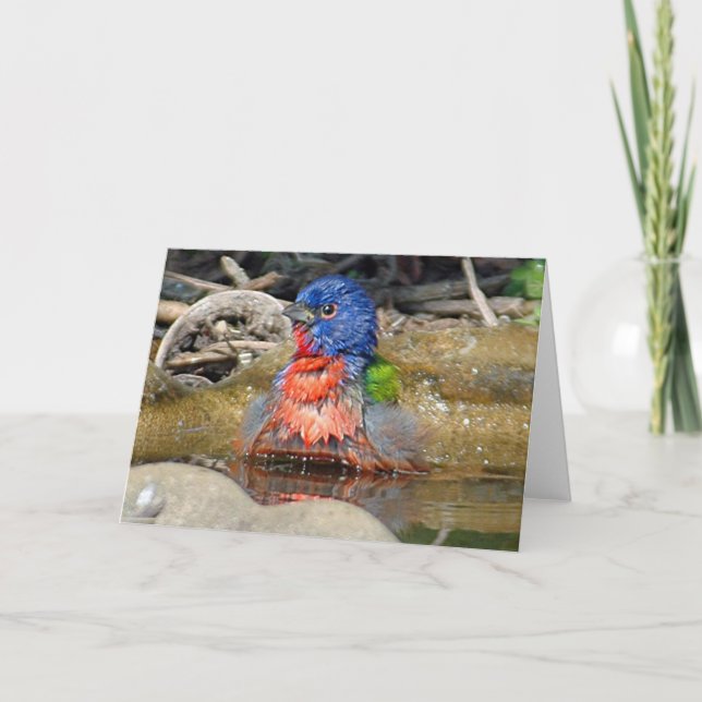 Carte humide de peinture (Devant)