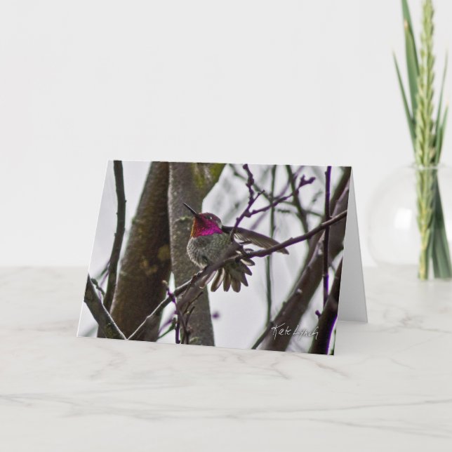 Carte Hummer Crow (Devant)