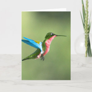 Carte Humming Bird Card pour toutes les occasions.