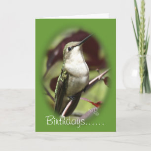 Carte Hummingbird femelle perchée - personnaliser à tout