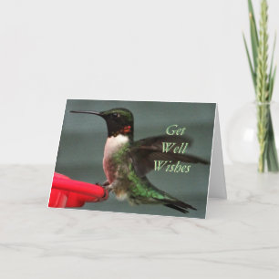 Carte Hummingbird mâle 8891- customisez toute occasion