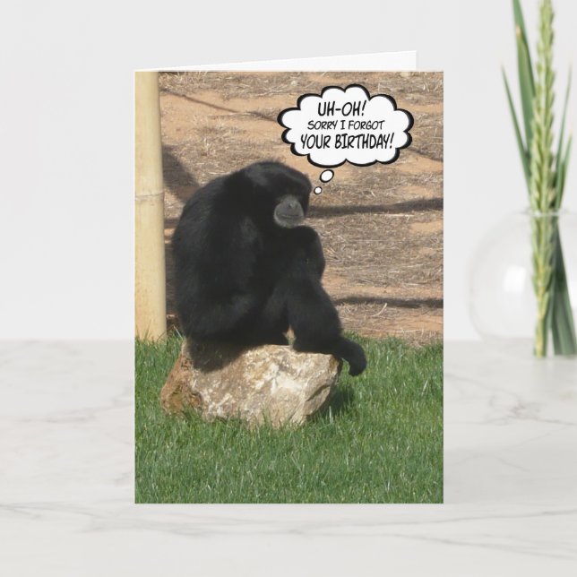 Carte Humoristique Anniversaire Ape (Devant)