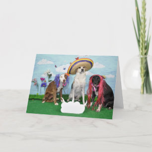 Carte Humorous greeting card, photo of 3 dogs, any theme