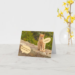 Carte Humour/Amitié/ SURPRISE ! (IL N'Y A PAS DE SURPRIS