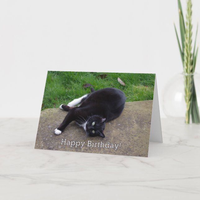 Carte Humour Chat Anniversaire (Devant)