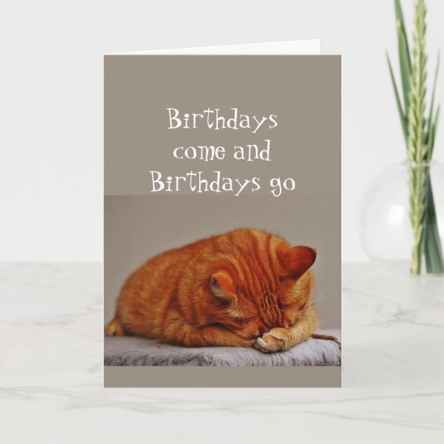 Carte Humour d'anniversaire 80 ans Plus très frais Chat  (Devant)