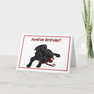 Carte Humour d'anniversaire Black Labrador Retriever