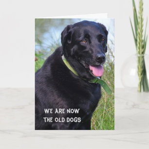 Carte Humour d'anniversaire de Black Labrador Retriever