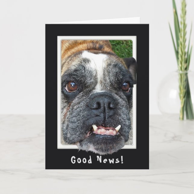 Carte Humour d'anniversaire de Bulldog (Devant)