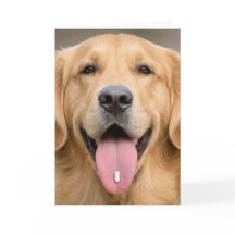 Humour d'anniversaire de Golden Retriever