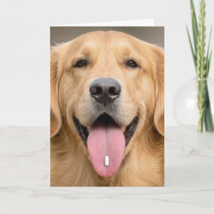 Carte Humour d'anniversaire de Golden Retriever