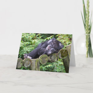 Carte Humour d'anniversaire de Napping Chimpanzee