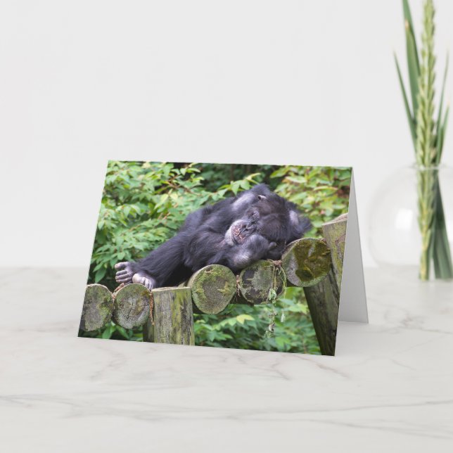 Carte Humour d'anniversaire de Napping Chimpanzee (Devant)