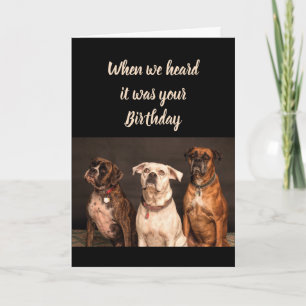Carte Humour d'anniversaire de tous les nous amusement