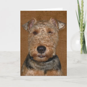 Carte Humour d'anniversaire de Welsh Terrier