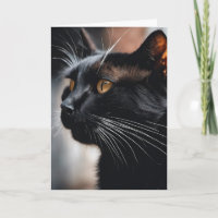 Humour d'anniversaire du chat noir