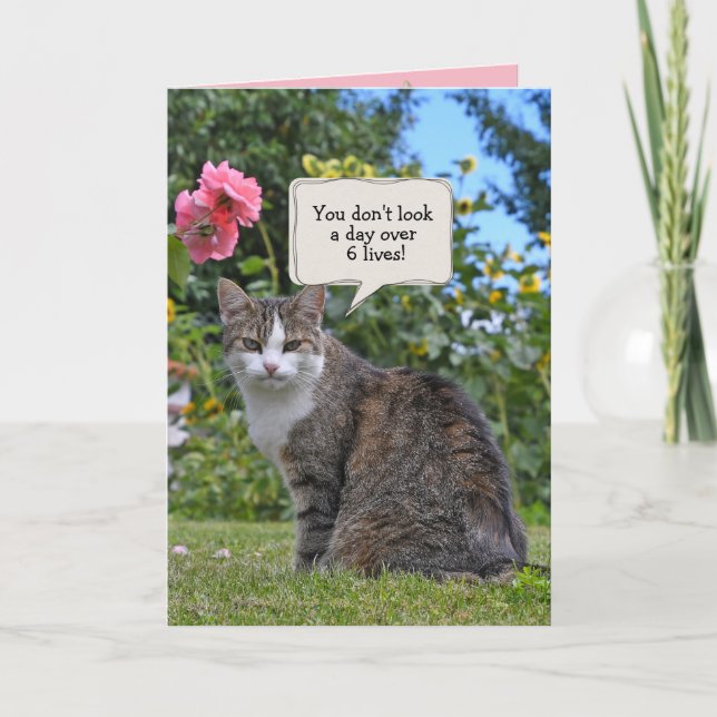 Carte humour d'anniversaire du chat tabby (Devant)