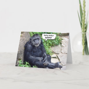 Carte Humour d'anniversaire du chimpanzé
