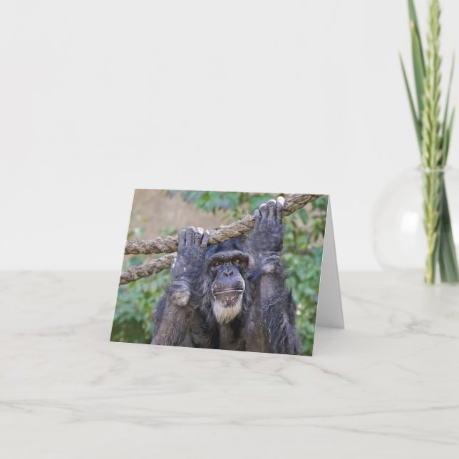 Carte Humour d'anniversaire du chimpanzé (Devant)
