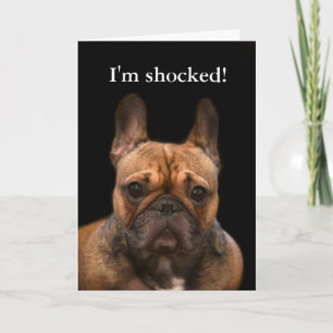 Carte Humour d'anniversaire heureux à Bulldog en France