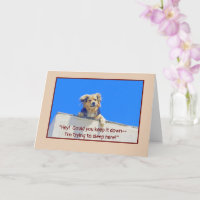 Humour D'ANNIVERSAIRE / LAISSER DORMIR DES CHIENS 