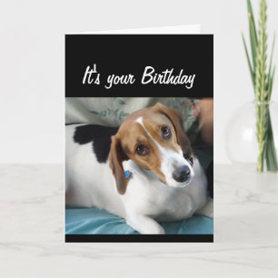 Carte Humour d'anniversaire ne mangez pas tout ce gâteau