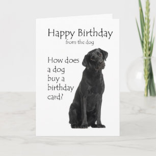 Carte Humour d'anniversaire pour un Labrador noir drôle