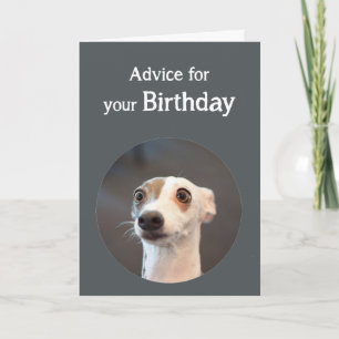 Carte Humour de Birthday
