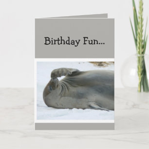 Carte Humour de Birthday Fun