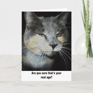 Carte Humour de chat d'anniversaire