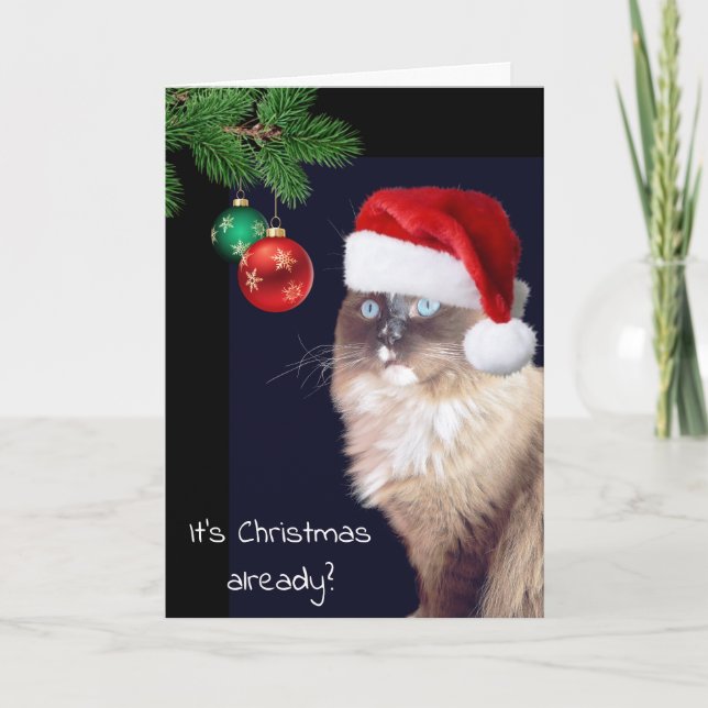 Carte Humour de chat de Noël Ragdoll (Devant)