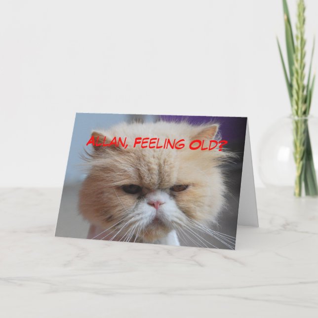 Carte Humour de chat persan d'anniversaire de frère (Devant)