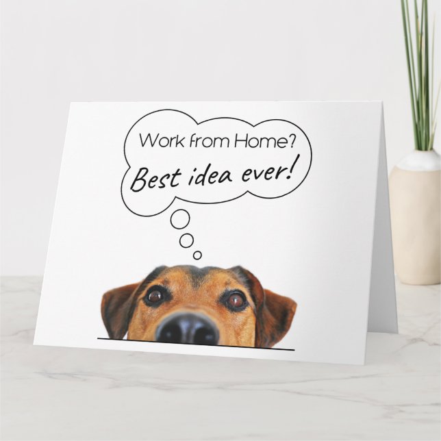 Carte Humour de chien chiot drôle : travail à domicile?  (Devant)