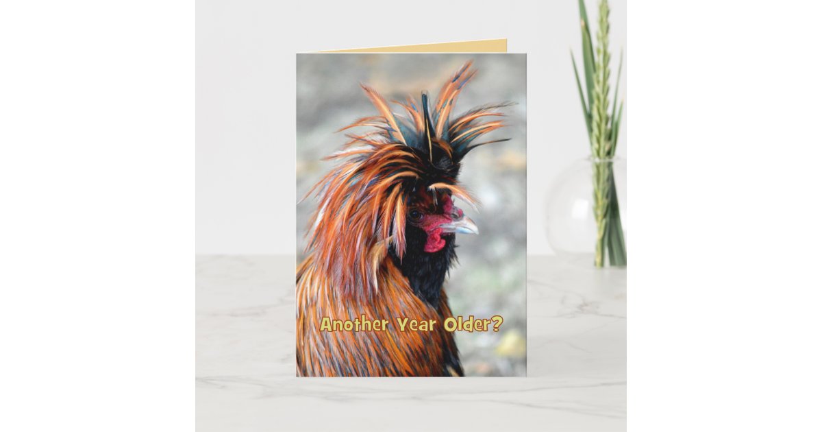 Carte Humour De Fantaisie De Joyeux Anniversaire De Coq Zazzle Ch Carte Humour De Fantaisie De Joyeux Anniversaire De Coq Zazzle Ch