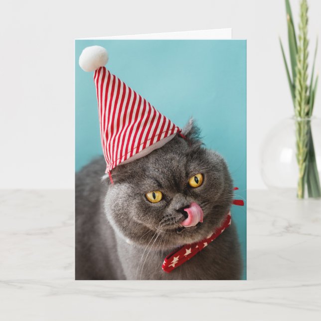 Carte Humour de Noël pour chats (Devant)