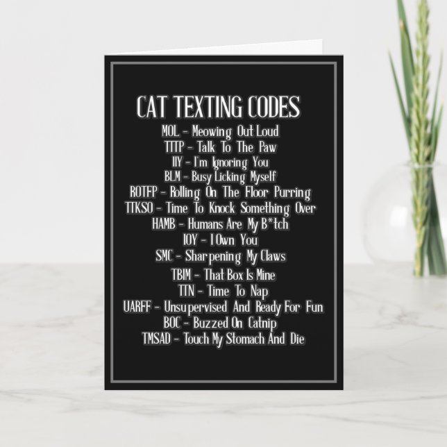 Carte Humour des codes textos de chats (Devant)