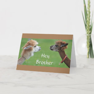 Carte Humour FRÈRE POUR MON FAV * ANNIVERSAIRE DE SOEUR!