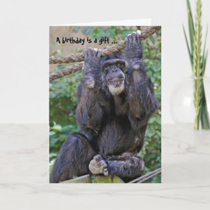 Carte Humour sauvage de Chimp