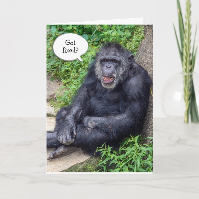 Carte Humour sur la vasectomie avec un chimpanzé (Devant)