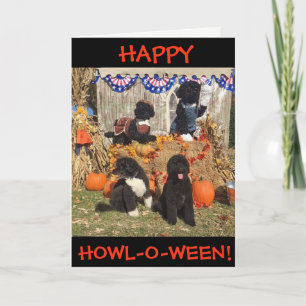 Carte Hurlement-o-Ween heureux !  La BO et ensoleillé -