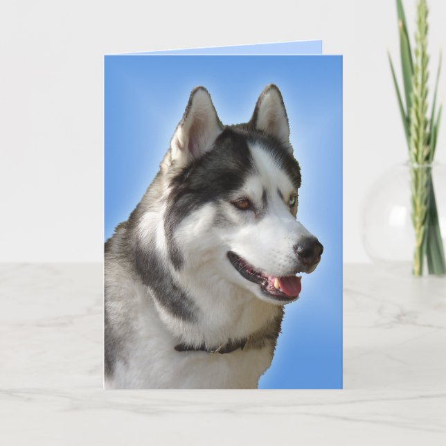Carte Husky Sibérienne / Carte Malamute Alaskan -  (Devant)