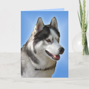 Carte Husky Sibérienne / Carte Malamute Alaskan - 