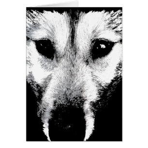 Carte Husky Sibérienne Malamute Wolf Dog Card