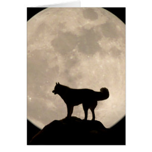 Carte Husky Sibérienne Malamute Wolf Dog Card