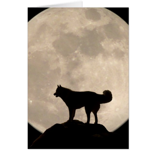 Carte Husky Sibérienne Malamute Wolf Dog Card (Devant)