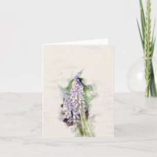 Carte Hyacinthe de raisin